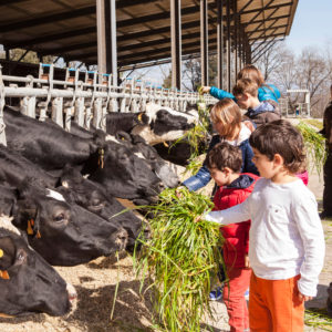 visites familiars en castellà